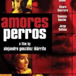 Descargar Pelicula:  Amores perros